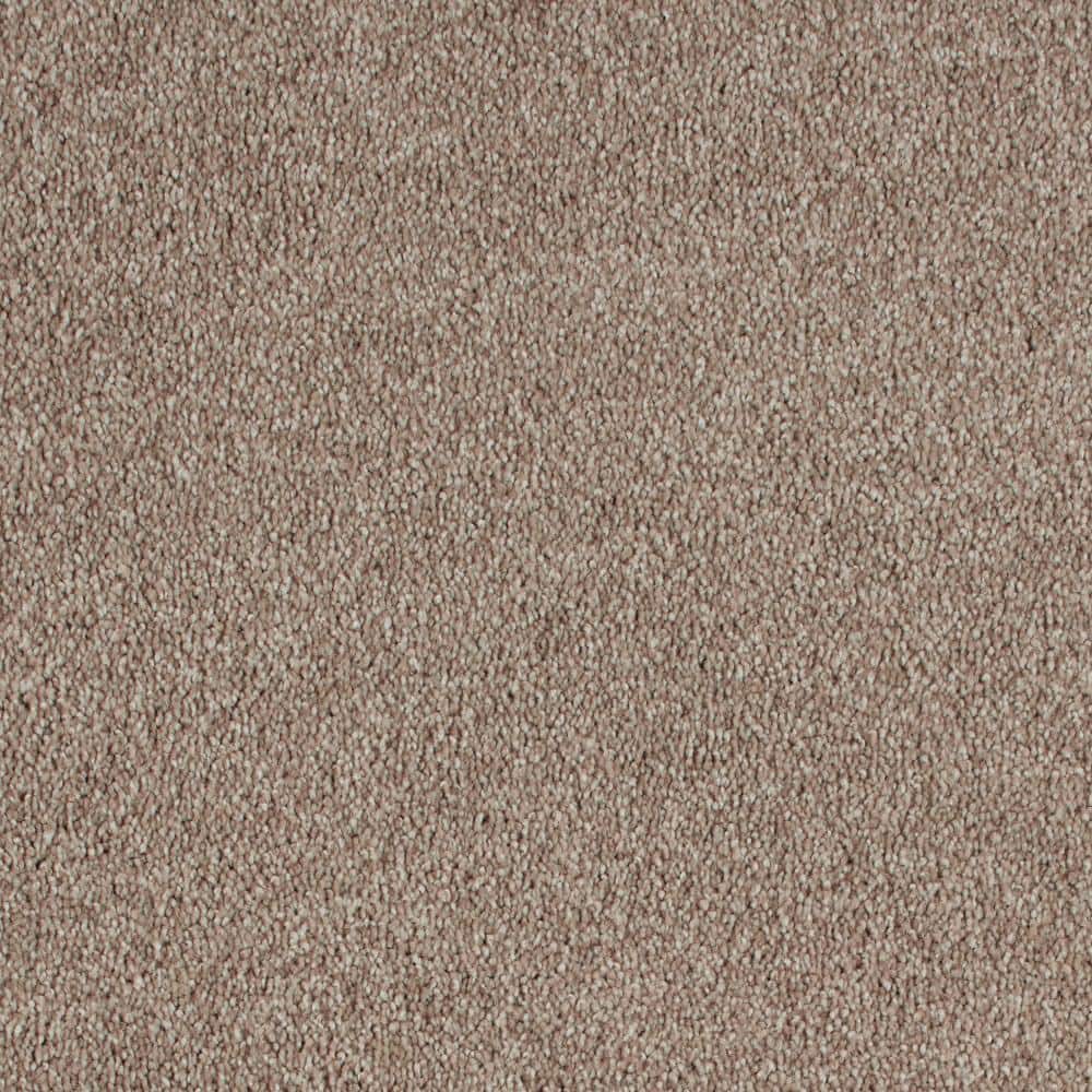 8 in. x 8 in. Texture Carpet Sample - Still In Love I -Color Lifetime price history on PriceWatchPro