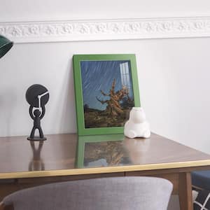 Modern 8 in. x 10 in. Green Picture Frame (Set of 2)