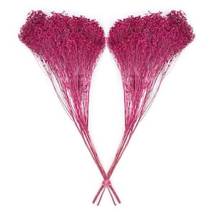 24 in. Pink Dried Natural Broom Bloom Fuchsia (2-Pack)