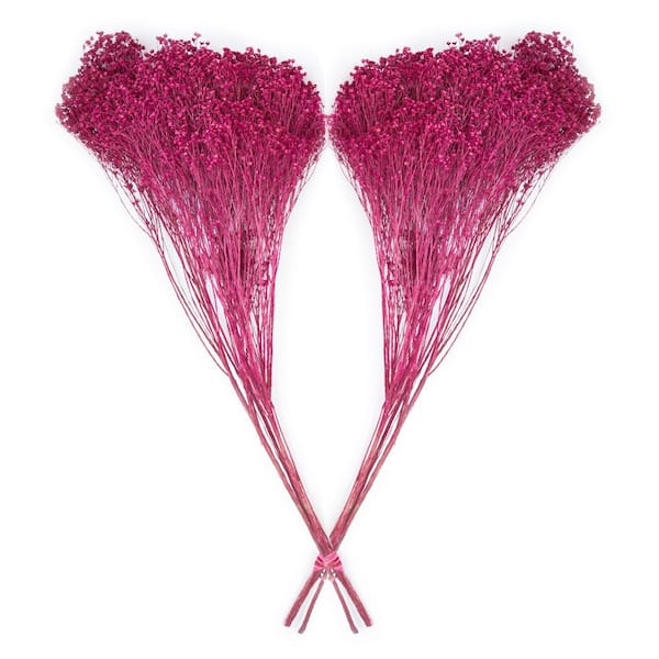 Bindle & Brass 24 in. Pink Dried Natural Broom Bloom Fuchsia (2-Pack)