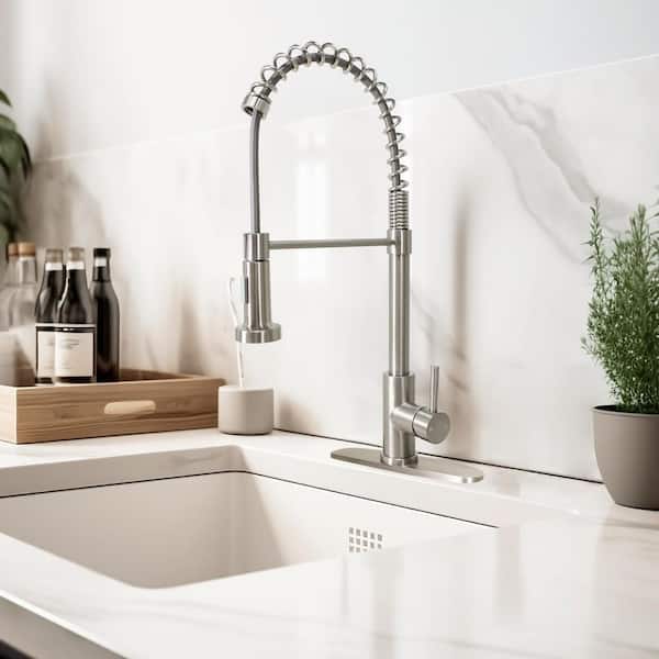 Single Handle Pull-Down Kitchen Faucet with Spring Neck Dual Sprayer in Stainless Steel