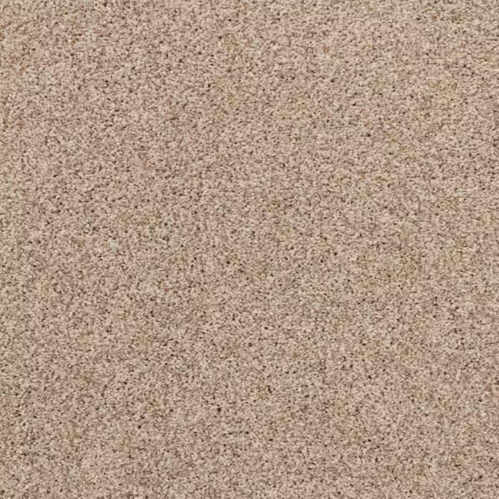 8 in. x 8 in. Texture Carpet Sample-Magalynn II-Color Island Breeze price history on PriceWatchPro