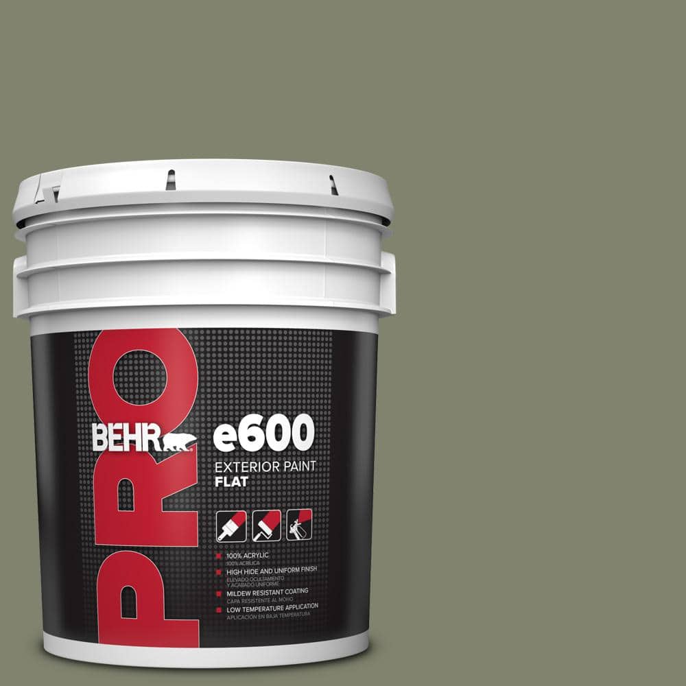5 gal. #PPU10-18 Lizard Green Flat Exterior Paint price history on PriceWatchPro
