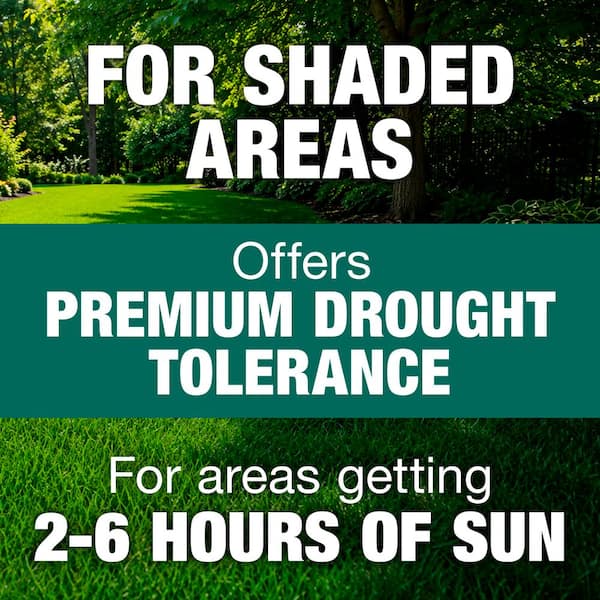 3 lbs. Shady Lawn Grass Seed Mix
