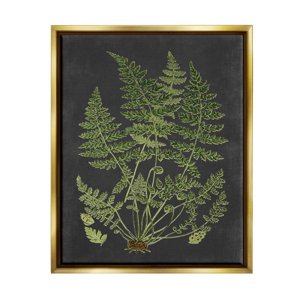 The Stupell Home Decor Collection Botanical Drawing Green Black Design ...