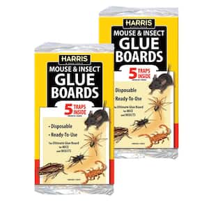 Pest Glue Board, (10-Pack)