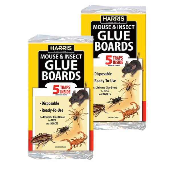 Sticky Mouse Traps Indoor for Home - Extra Strength Glue Traps for Small  and Large Mice, Rats, Roaches, Snakes, Lizards - Easy-to-Set, Trimmable  Size