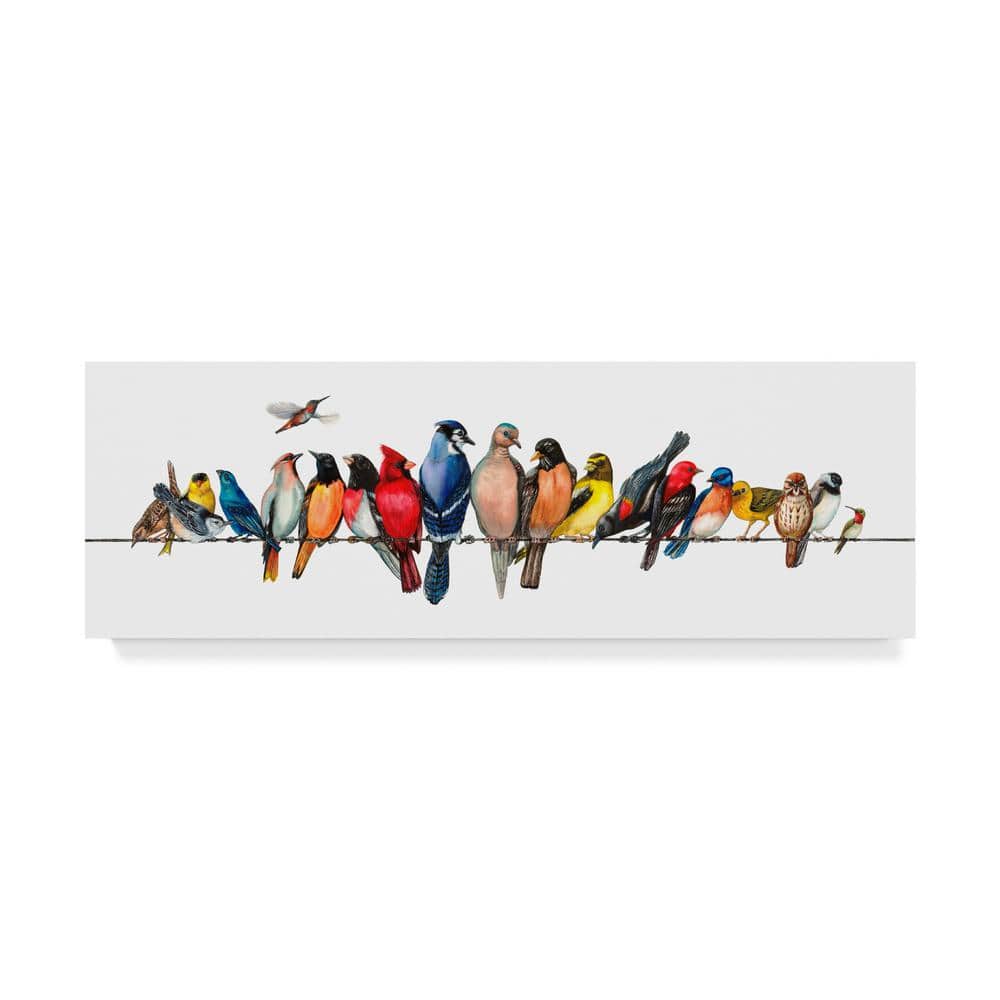 Colorful Tropical Birds on Wire Framed Canvas Print