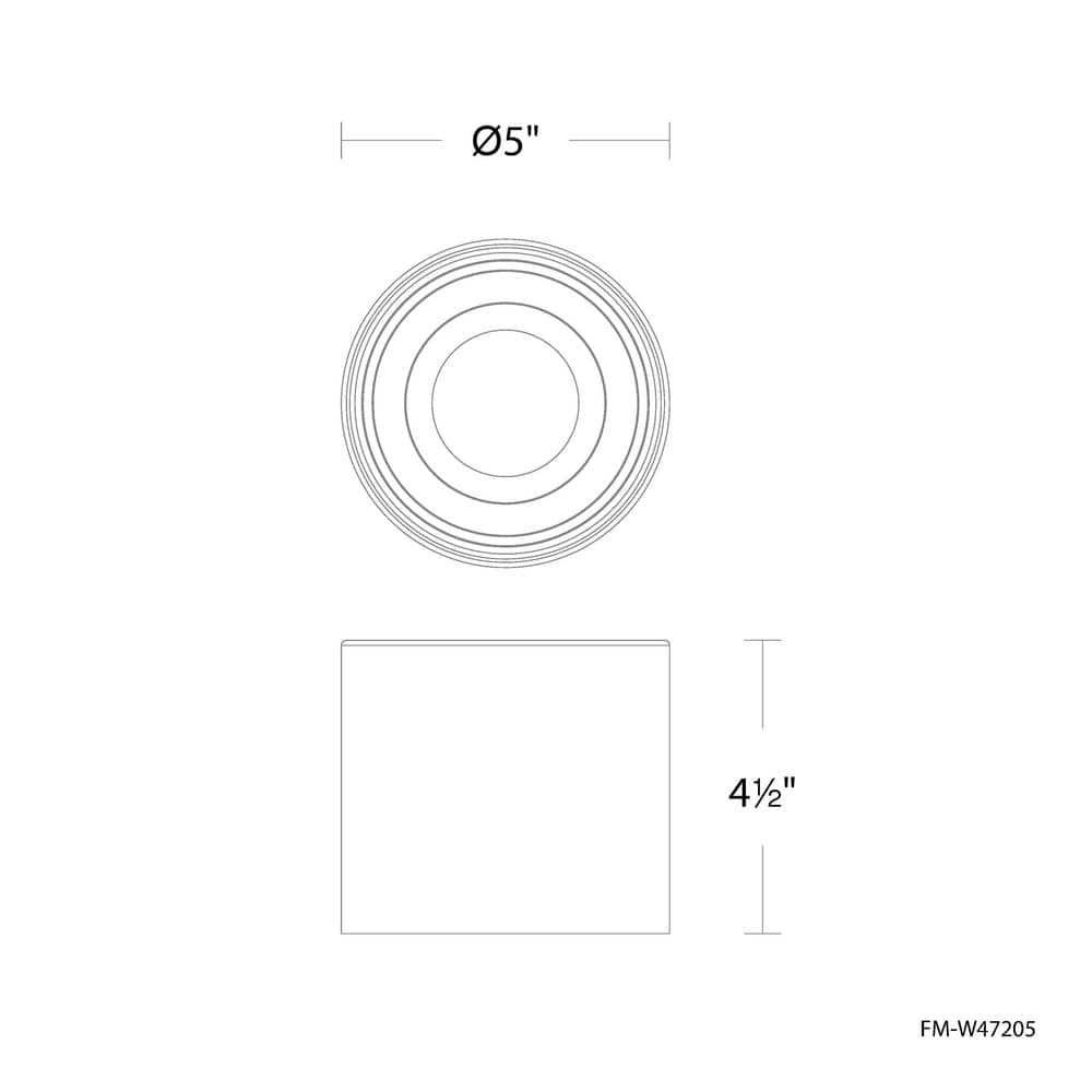 Black Glass LED Indoor/Outdoor Flush Mount Light