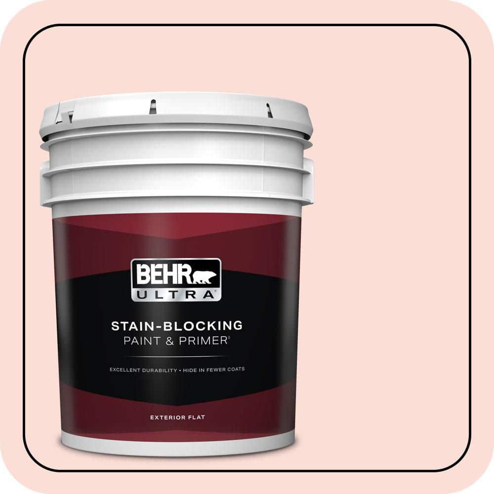 5 gal. #200C-2 Botticelli Angel Flat Exterior Paint & Primer price history on PriceWatchPro