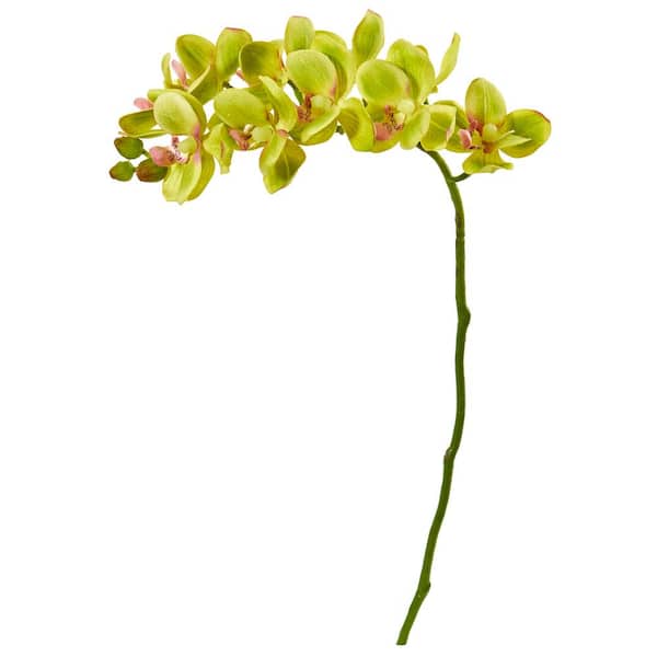 Nearly Natural 21 in. Phalaenopsis Orchid Artificial Flower (Set of 6)