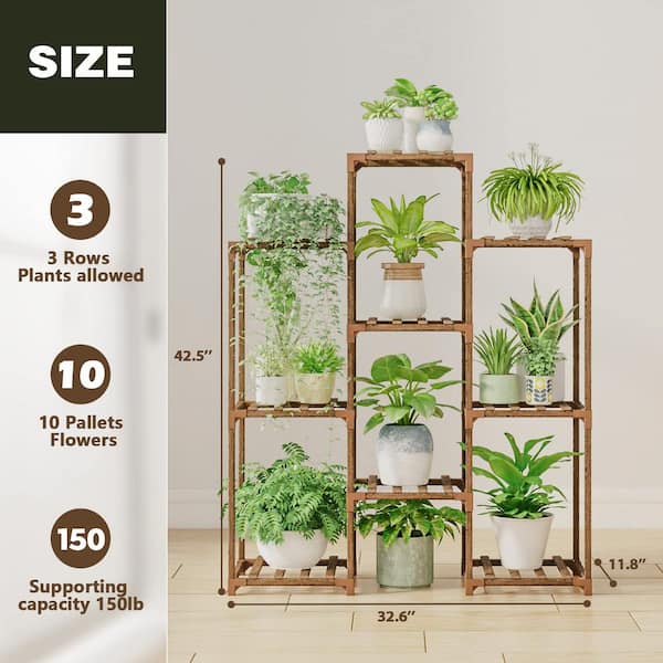 peace lily pot size Peace Lily