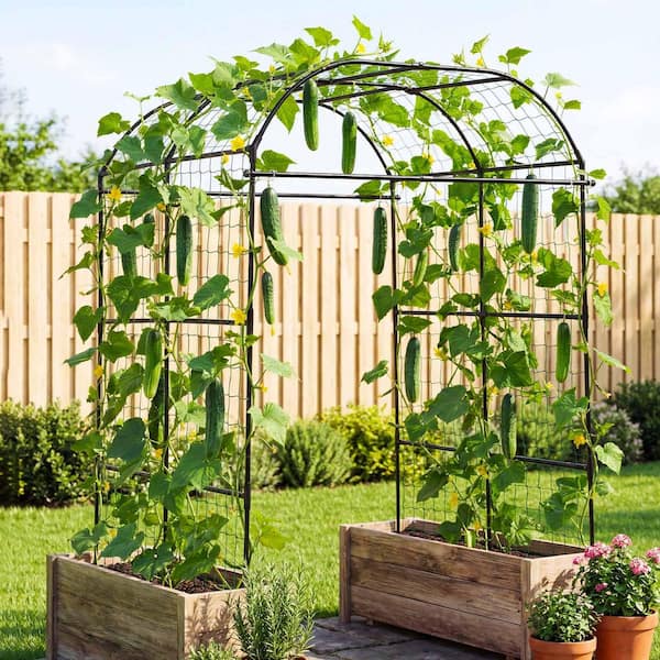 VEVOR Cucumber Trellis, U-Shape Garden Trellises for Raised Bed, Metal Wide Top Arch Plant Support for Vine, Climbing Plants