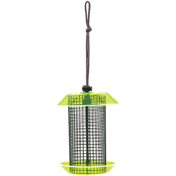 BIRDS choice Small Sunflower Seed Feeder Color Pop Collection in Green and Lavender