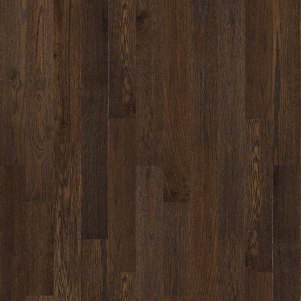 Shaw Take Home Sample - Chivalry Oak Noble Steed Solid Hardwood Flooring - 5 in. x 7 in.
