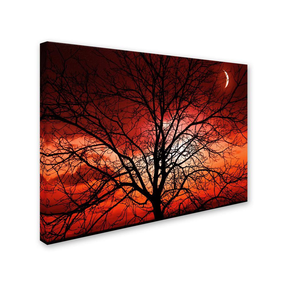 Big Bad Moon Landscape Framed Canvas Art, 22 x 32 Inch