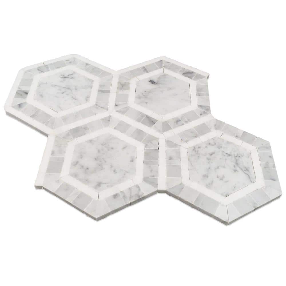 Carrara White and Black Marble Hexagon Mosaic Tile