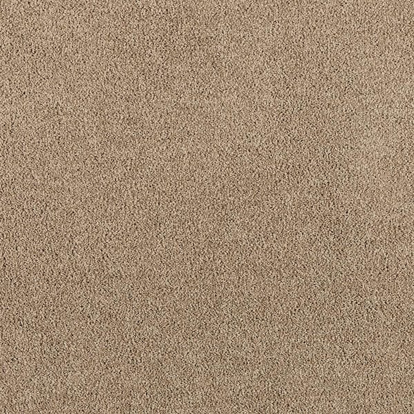 Home Decorators Collection Tailored Trends I Dapper Brown 34 oz. Polyester Textured Carpet - Installation Required