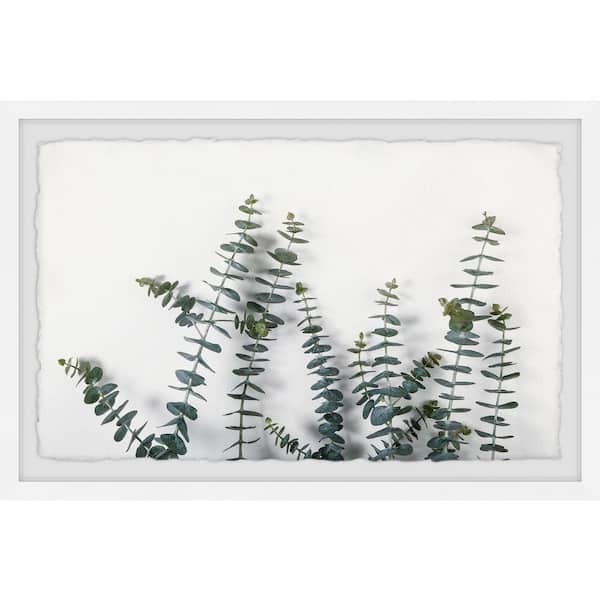 Unbranded "Bloom and Grow" by Marmont Hill Framed Nature Art Print 12 in. x 18 in.