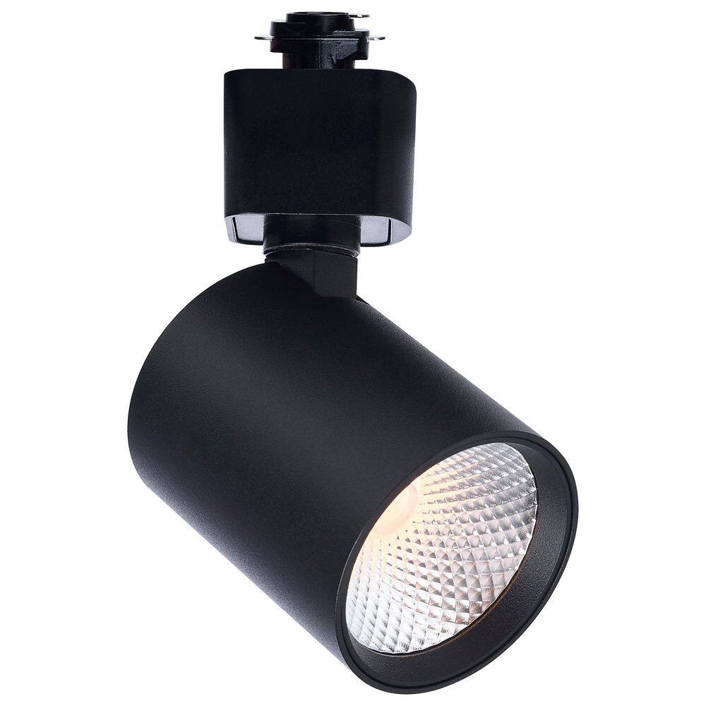Black Integrated LED Fixed Track 36-Degree Beam H-Style Cylinder Head price history on PriceWatchPro