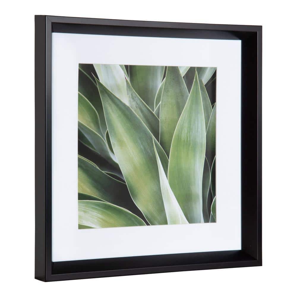 Green Succulent Leaves Framed Canvas Print Set