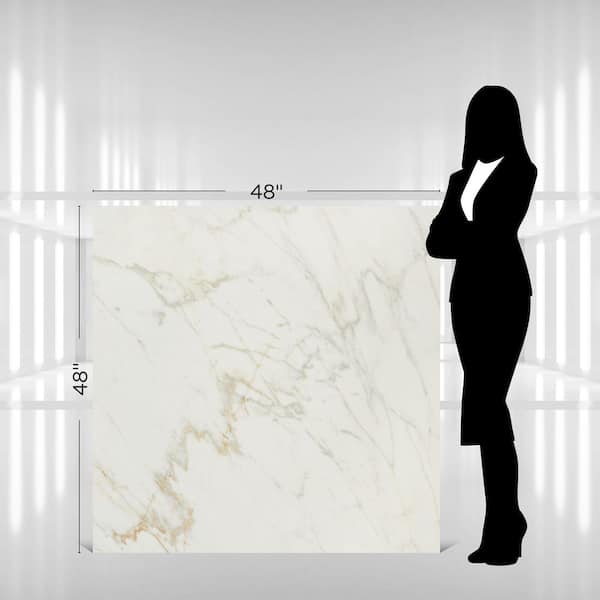 Daltile Panoramic Duet Diamond Mine 48 in. x 48 in. Matte