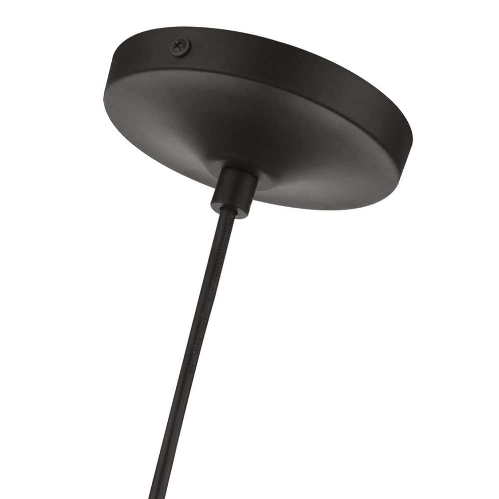 Catania Black and Brushed Nickel 1-Light Mini Pendant with Clear Glass