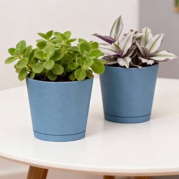 Lark & Vine Vibe Blue Resin Recycled Materials Planter Set (6 in. L x 6 in. W x 5.7 in. H) (2-Pack)