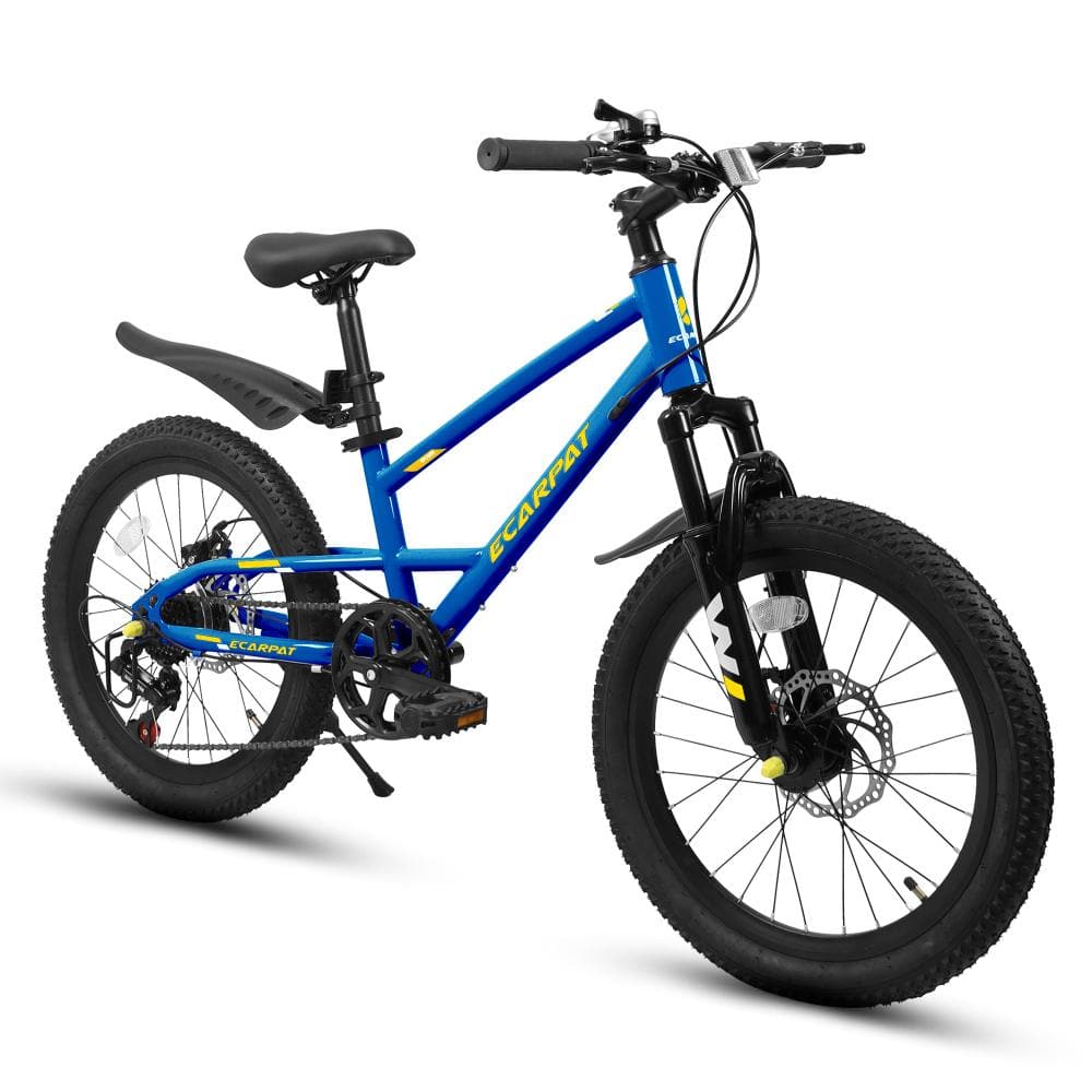Cesicia 20 in. Steel Mountain Bike with 7 Speed and Front