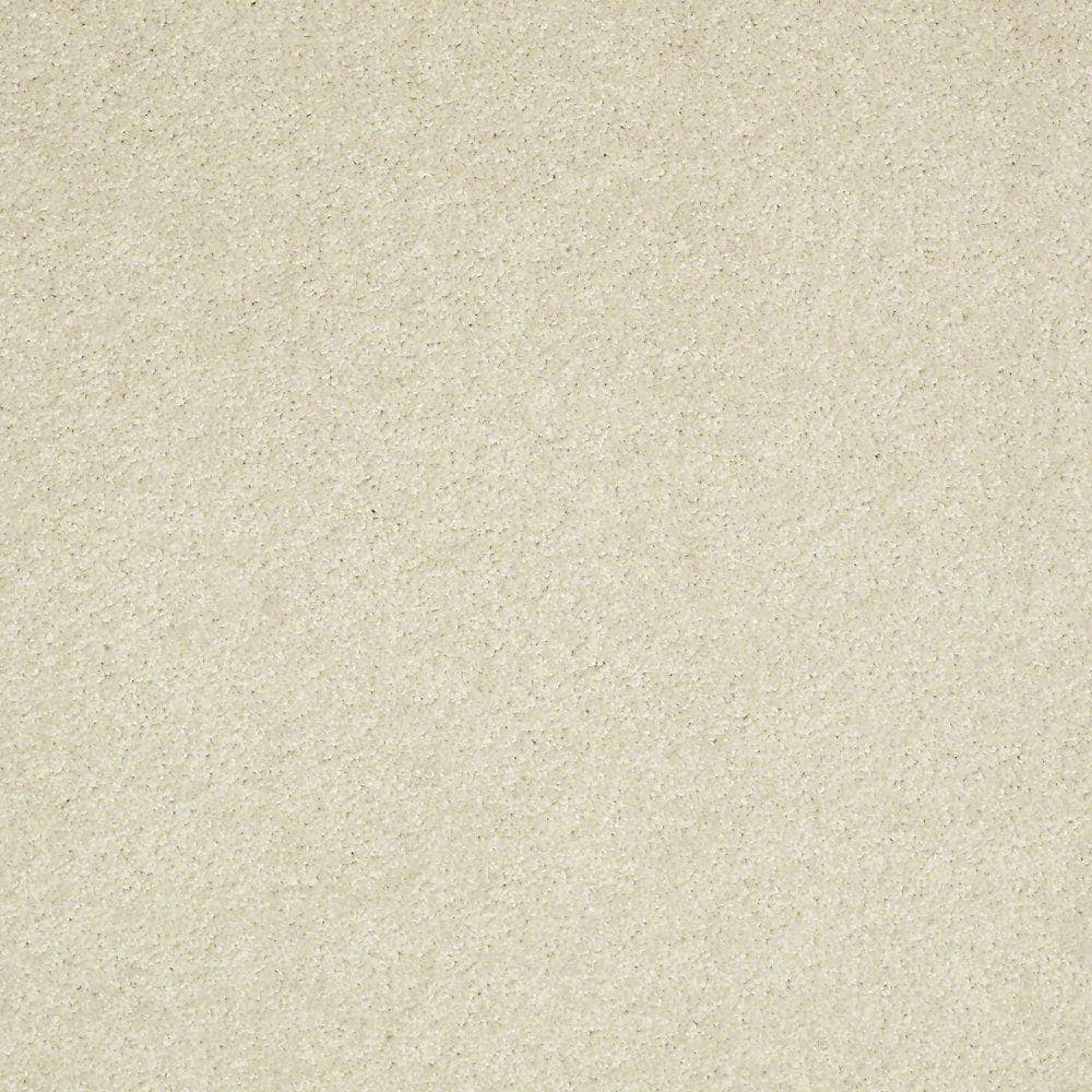 8 in. x 8 in. Texture Carpet Sample - Brave Soul II - Color Crisp Linen price history on PriceWatchPro