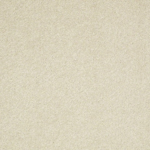Brave Soul II - Crisp Linen - Beige 44 oz. Polyester Texture Installed Carpet