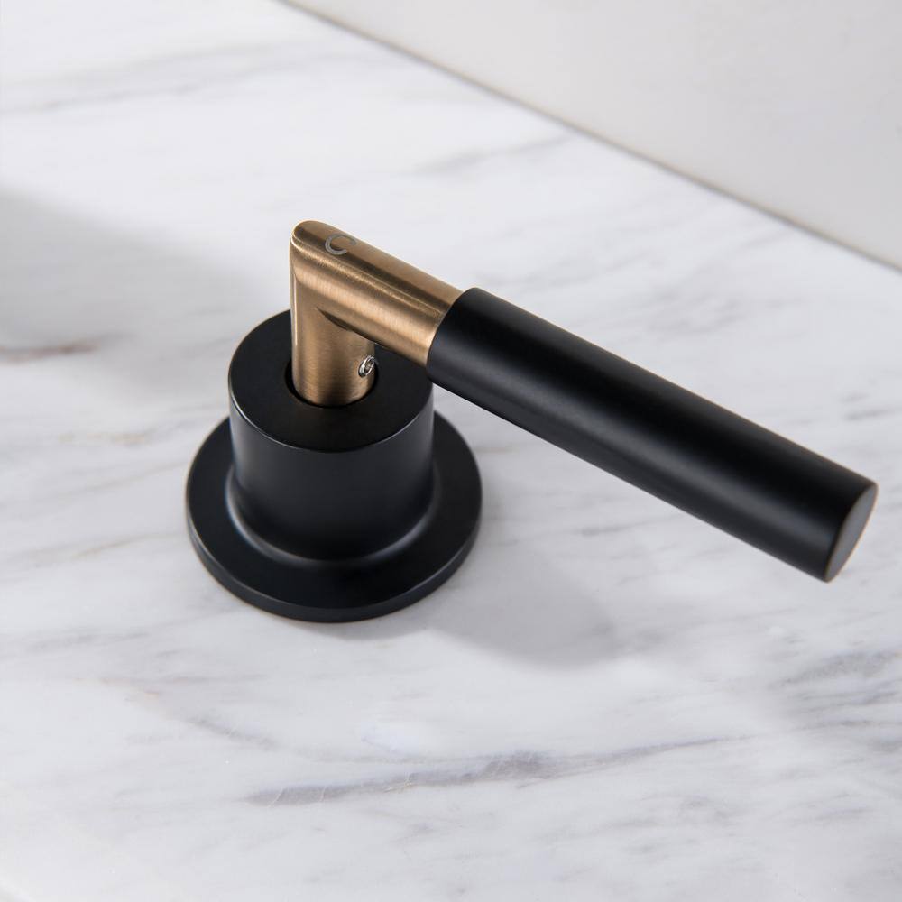Matte Black and Brushed Gold Brass Double Handle Faucet