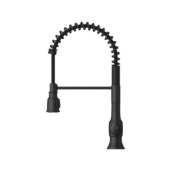 Hoyt Spring-Neck Single Handle Pull-Down Sprayer Kitchen Faucet in Matte Black
