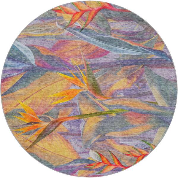 Dream Shag Premium Machine Washable Abstract ADS209 Multi 8 ft. x 8 ft. Round Rug