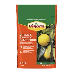 20 lbs. All Season Citrus and Avocado Plant Food Dry Fertilizer (6-4-6)