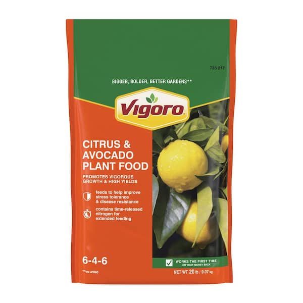 Vigoro 20 lbs. All Season Citrus and Avocado Plant Food Dry Fertilizer (6-4-6)