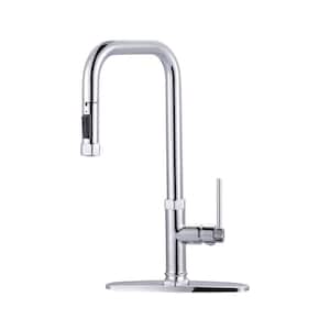 Single Handle Pull Down Sprayer Kitchen Faucet with Pull Out Spray Wand in Chrome