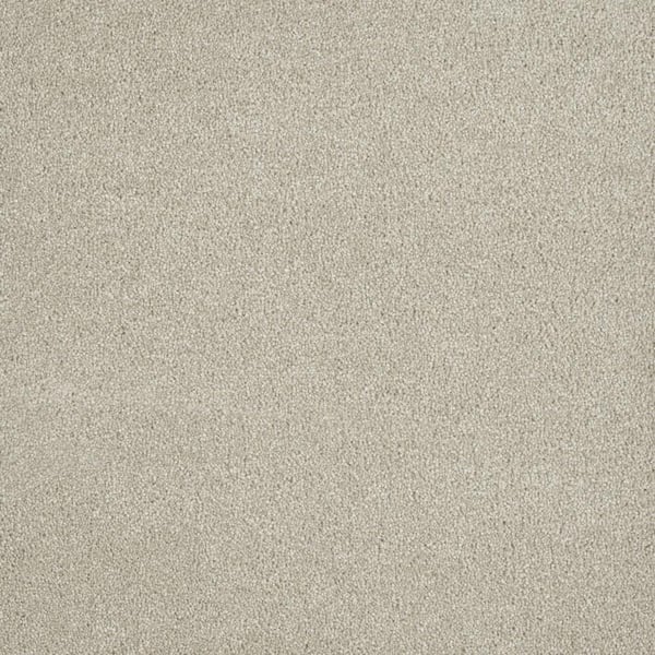 Home Decorators Collection 8 in. x 8 in. Texture Carpet Sample - Soft Breath Plus III -Color Melrose