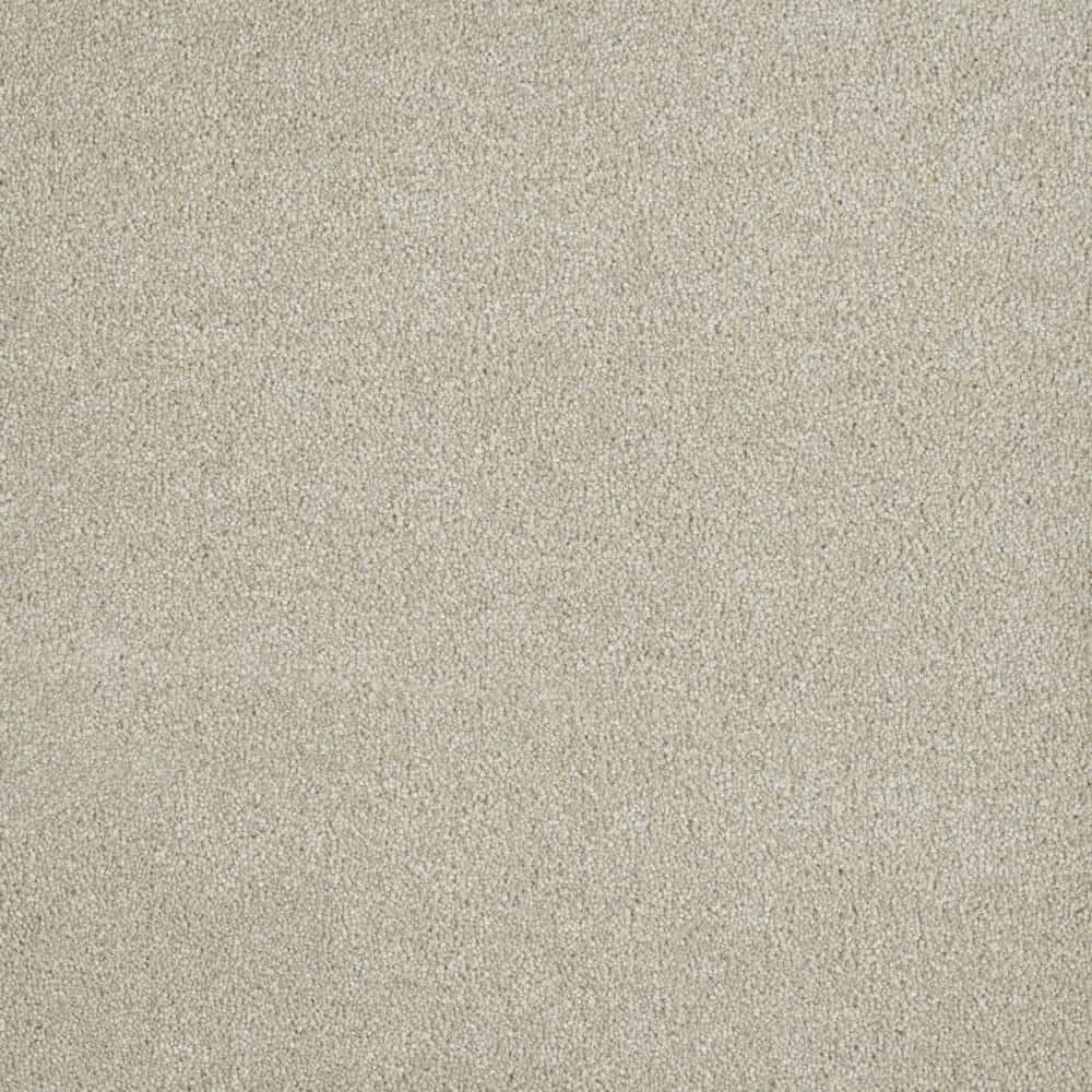8 in. x 8 in. Texture Carpet Sample - Soft Breath Plus I -Color Melrose price history on PriceWatchPro