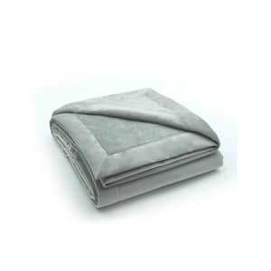 Seren Silver Polyester Velvet 50 in. W x 60 in. L Indoor Throw (1-Throw Blanket)