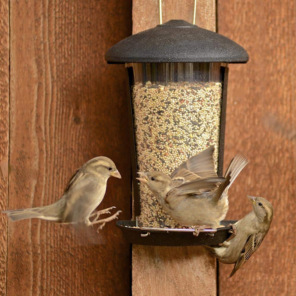Black Plastic and Wood Wall Mount Bird Feeder with Tray