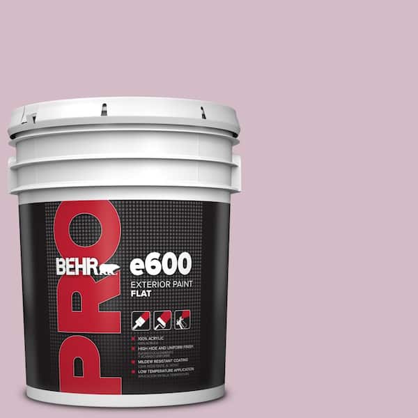 BEHR PRO 5 gal. #T12-16 Queens Tart Flat Exterior Paint