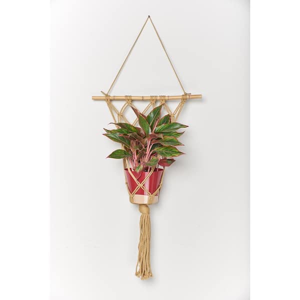Macrame Wall Hanging In Tan With Green Plants On The Wall