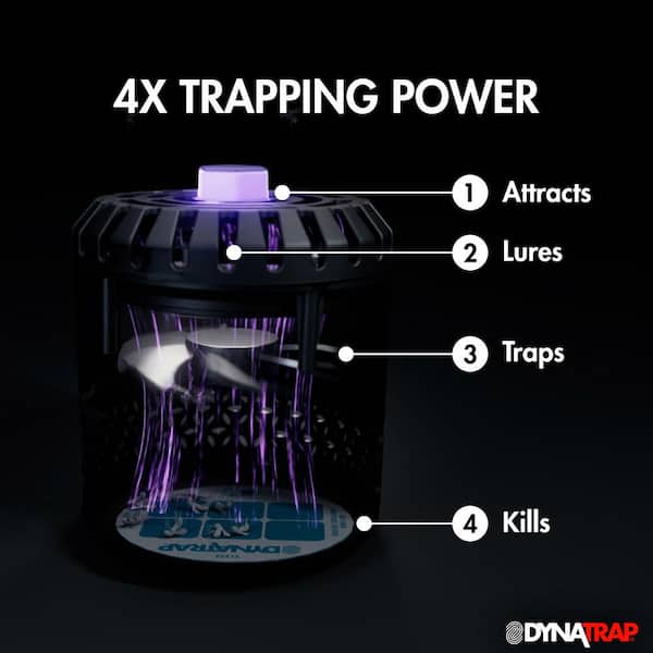 Dynatrap Dot 400 Sq. Ft. Indoor Plug-In Insect Trap Refill - Baller Hardware