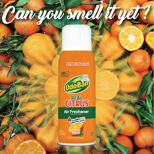 10 oz. Orange Real Citrus Air Freshener Spray, Citrus Oil Natural Air Freshener, Room Deodorizer & Toilet Spray (2 Pack)