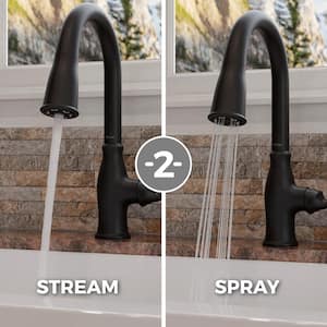 Rosslyn Single Handle Pull Down Sprayer Kitchen Faucet with Deckplate Included in Matte Black