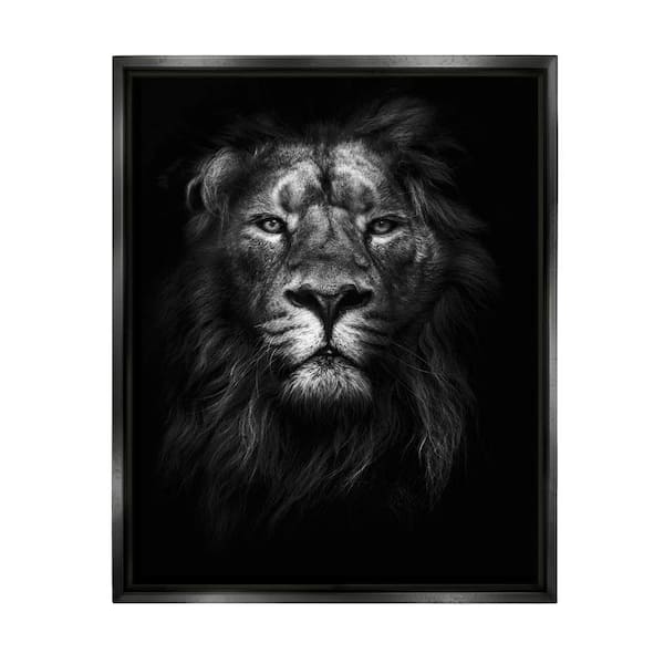 The Stupell Home Decor Collection King of the Jungle Lion In Shadows Photography by Design Fabrikken Floater Frame Animal Wall Art Print 21 in. x 17 in.