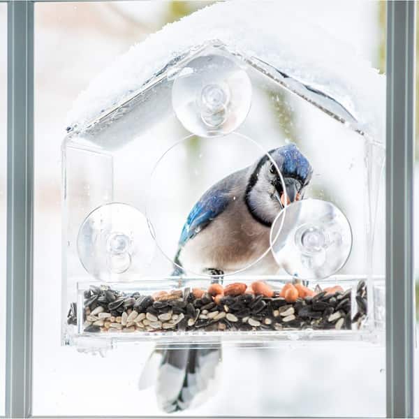 Clear Plastic Window Bird Feeder with Powerful Suction