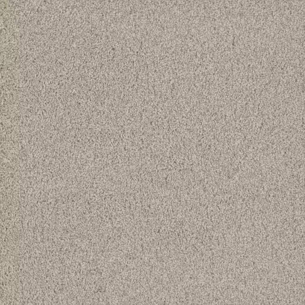 8 in. x 8 in. Texture Carpet Sample-Meringue II-Color Velvet price history on PriceWatchPro