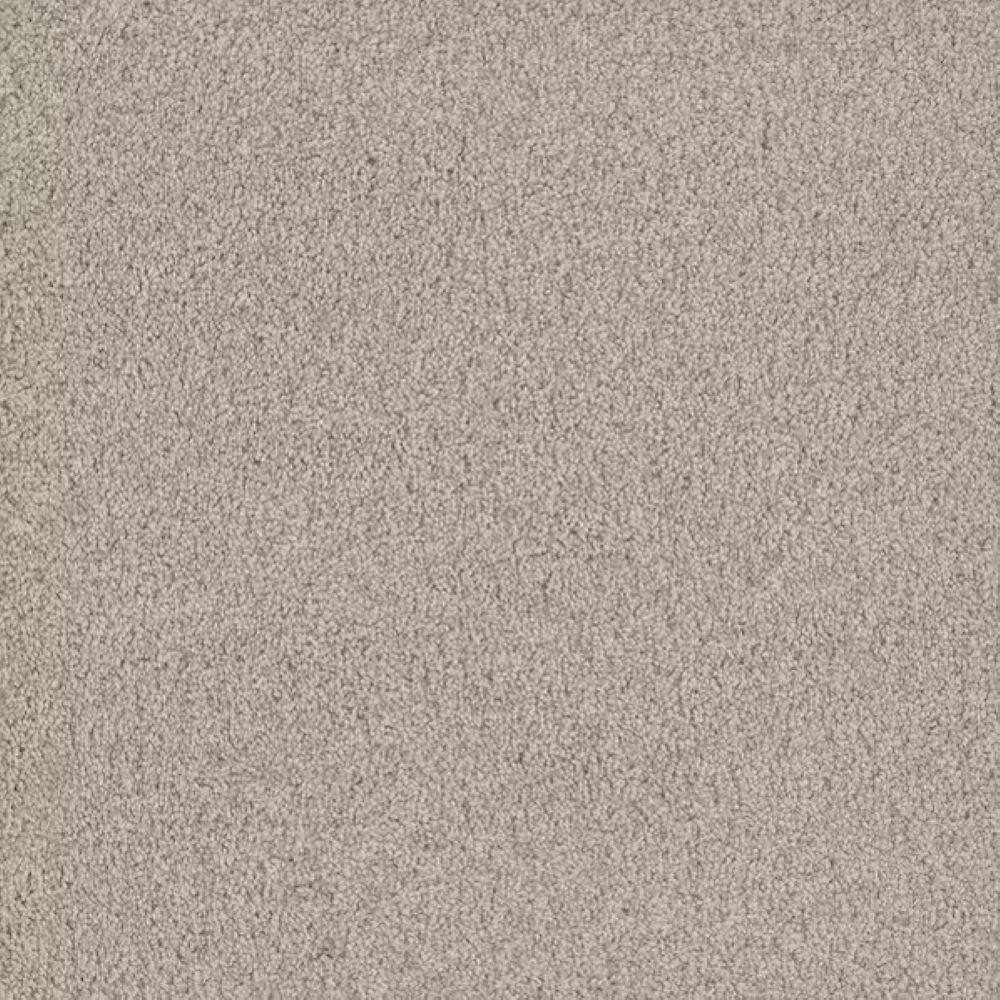 8 in. x 8 in. Texture Carpet Sample-Meringue I-Color Velvet price history on PriceWatchPro